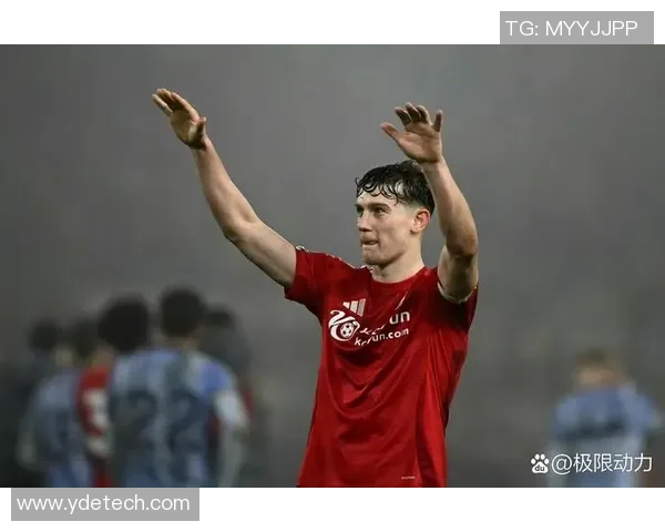 热火队与三猫队激战正酣球迷期待精彩对决与惊喜表现